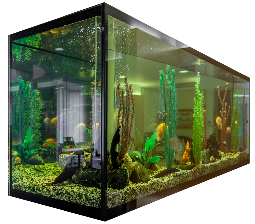 akvarium-akvablazo-uvod udrzba cistenie akvarii realizácia akvarii